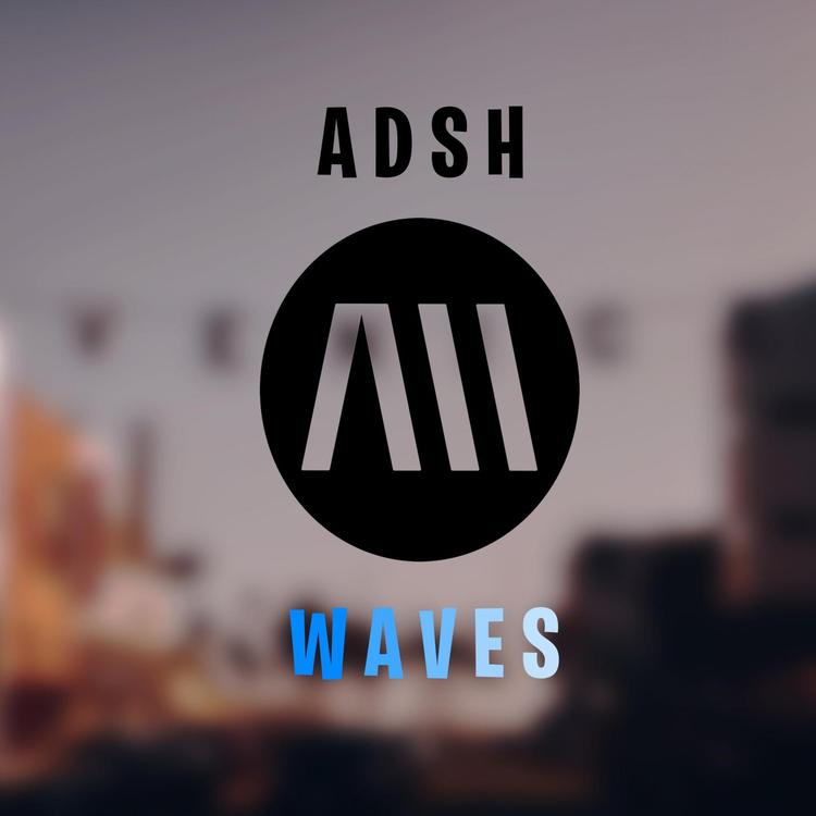 ADSH's avatar image