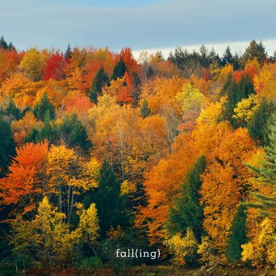 Fall(Ing)'s cover