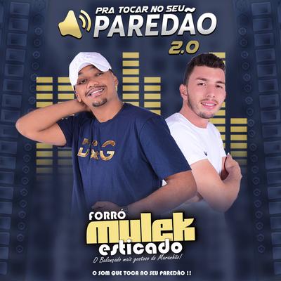 Para Tocar No Seu Paredão 2.0's cover