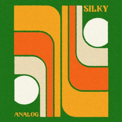 Analog By Silky's cover