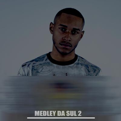 Medley Da Sul 2 By DJ KR3, Mc Neguinho 085's cover