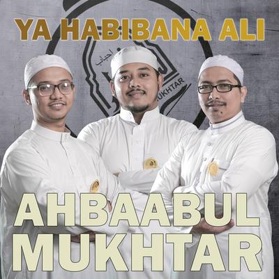 Ya Habibana Ali's cover