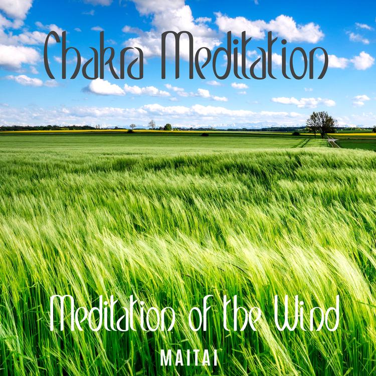 Chakra Meditation's avatar image