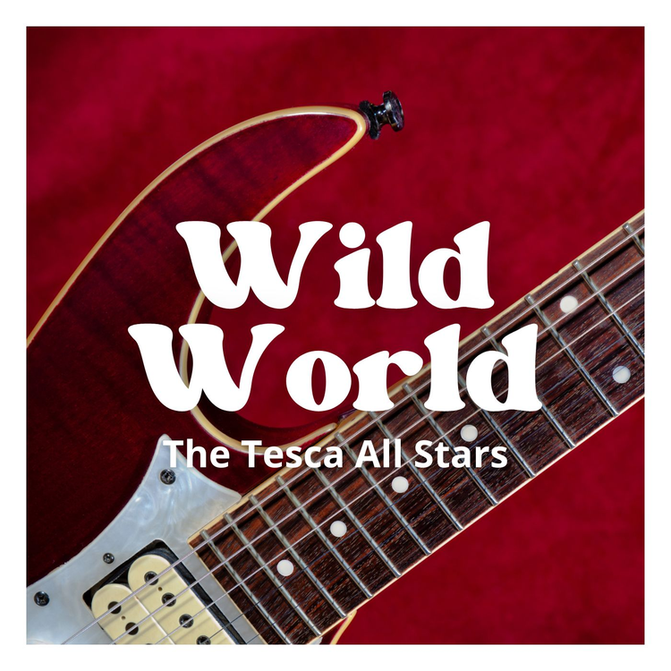 The Tesca All Stars's avatar image