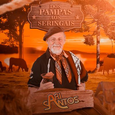 Dos Pampas aos Seringais By Ari Santos's cover