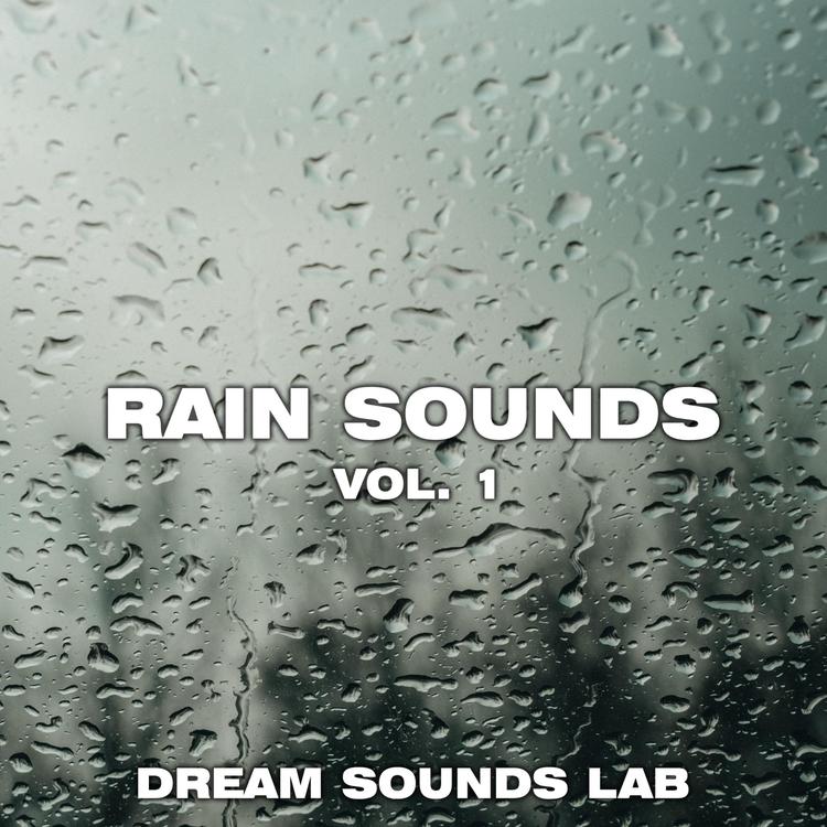 Dream Sounds Lab's avatar image