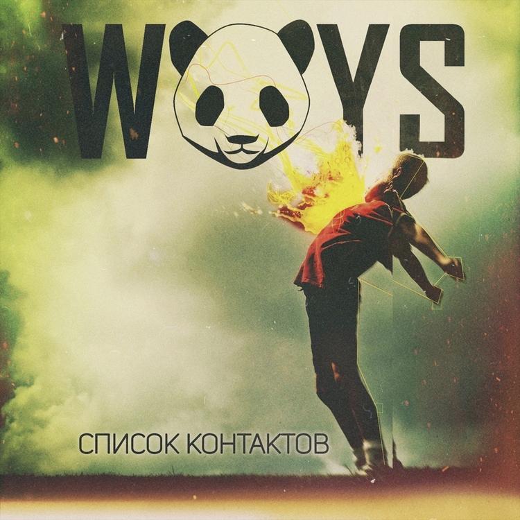 Woys's avatar image