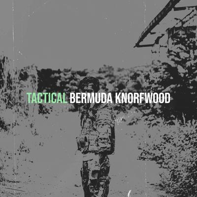 Bermuda Knorfwood's cover