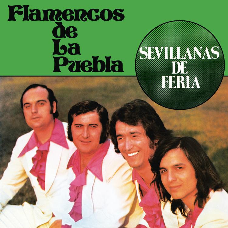 Flamencos de la Puebla's avatar image