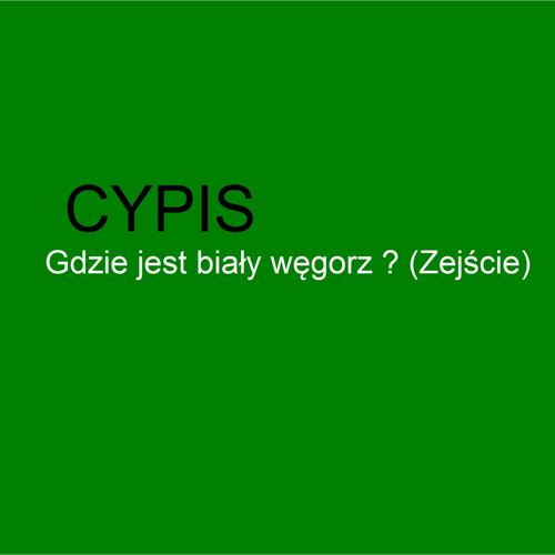 Gdzie jest biały węgorz ? (Zejście)'s cover