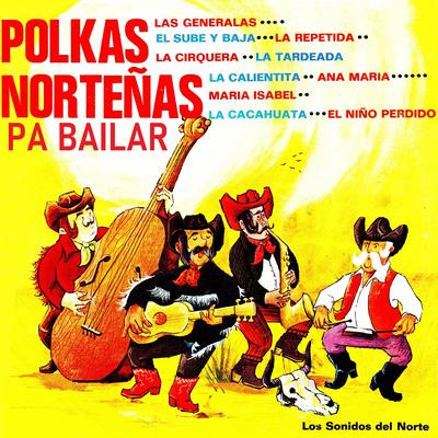 Polkas Norteñas Pa Bailar's cover