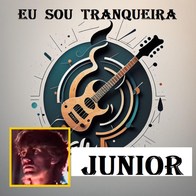 junior ronei menosso's avatar image