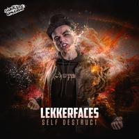Lekkerfaces's avatar cover