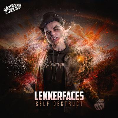 Lekkerfaces's cover