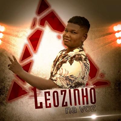 Leozinho na voz's cover