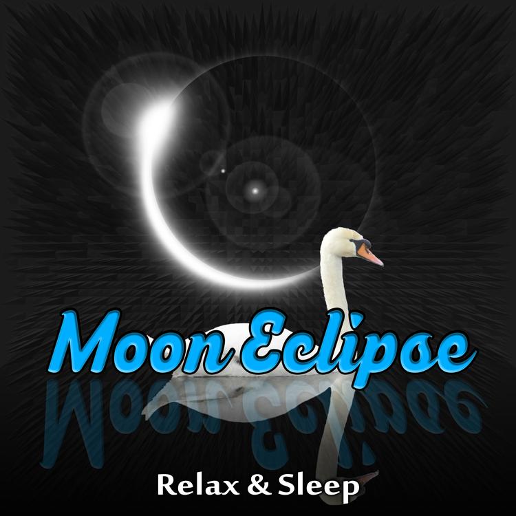 Moon Eclipse Ensemble's avatar image