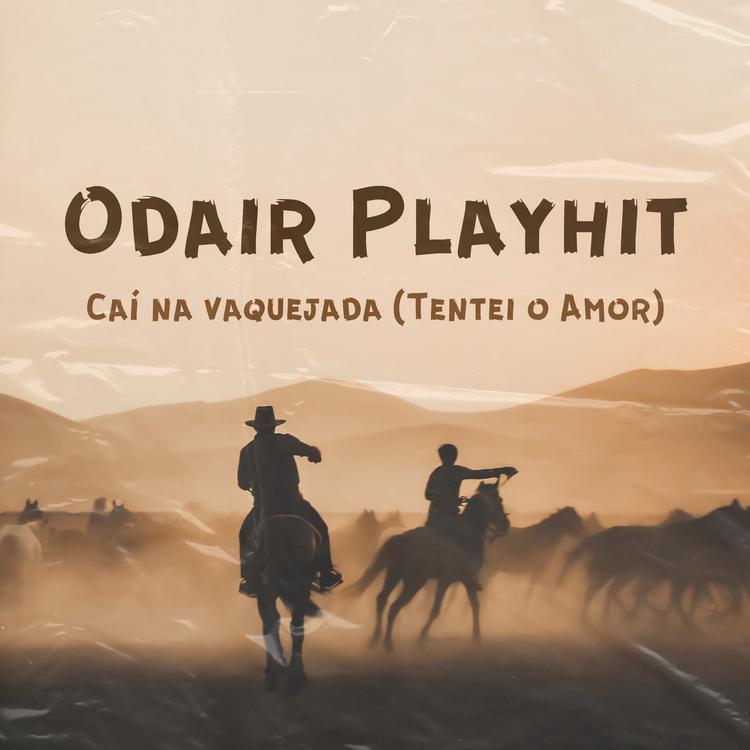 Odair Playhit's avatar image