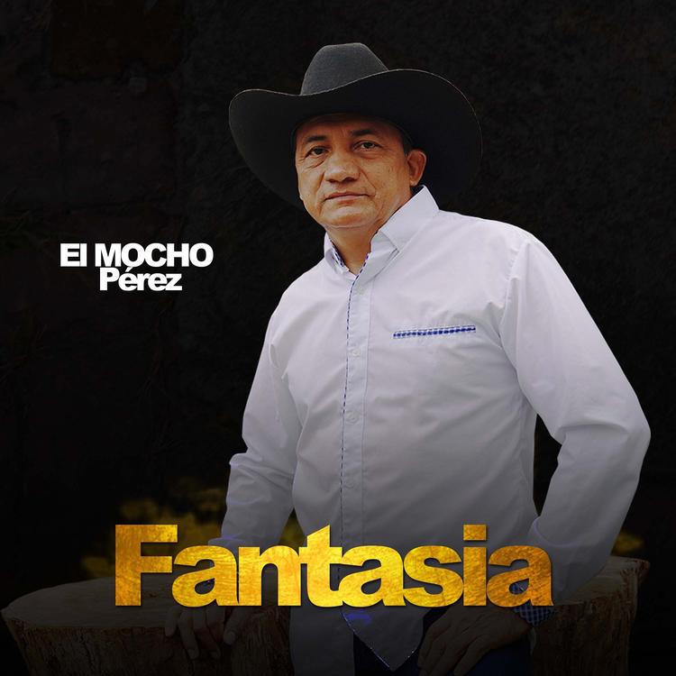 El Mocho Perez's avatar image