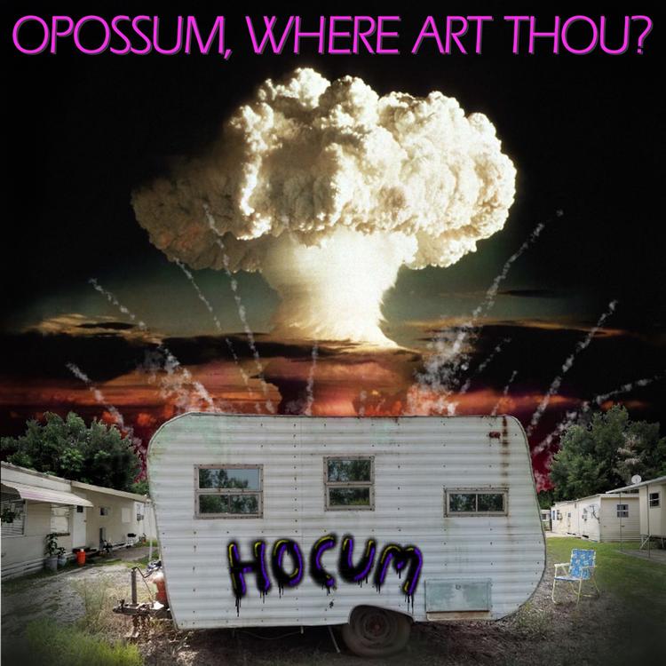 Opossum, Where Art Thou?'s avatar image