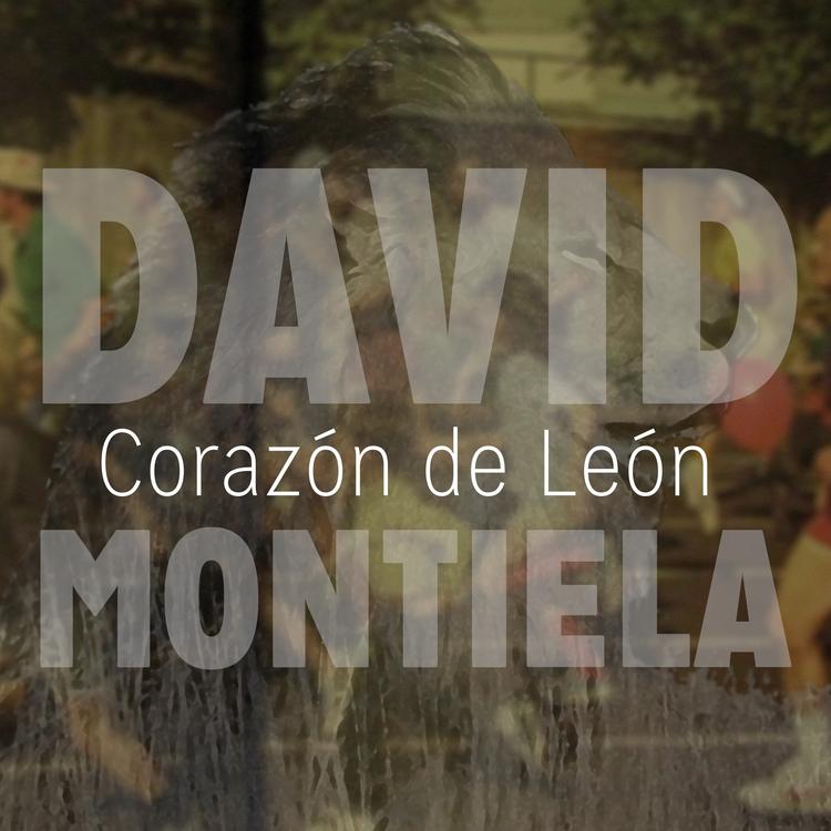 David Montiela's avatar image