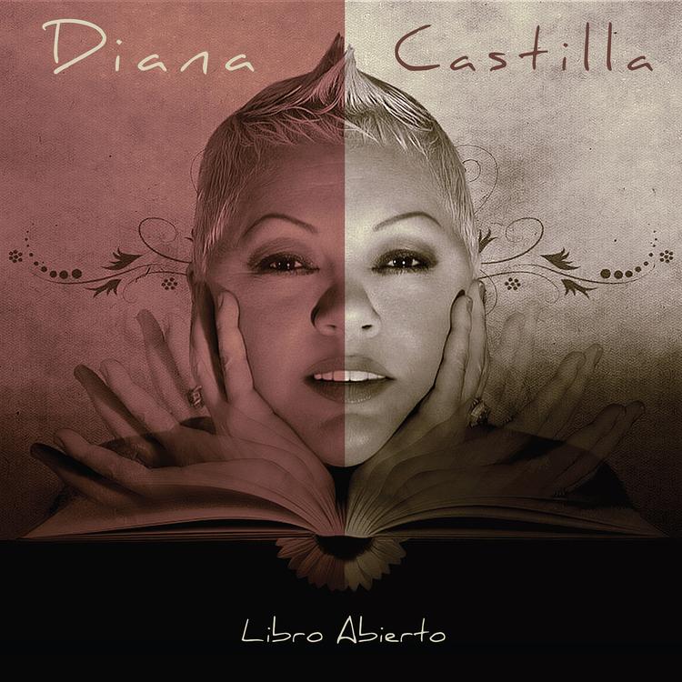 Diana Castilla's avatar image