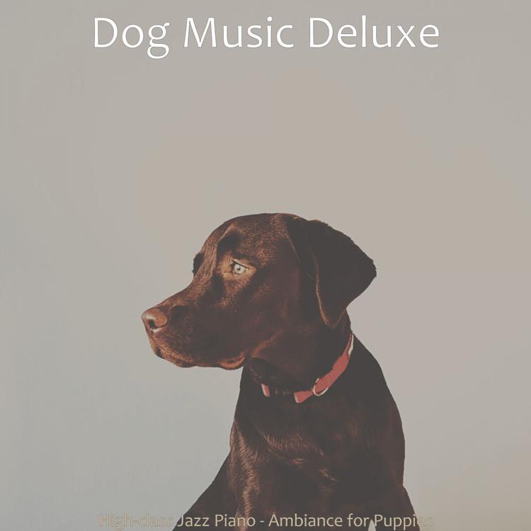 Dog Music Deluxe's avatar image