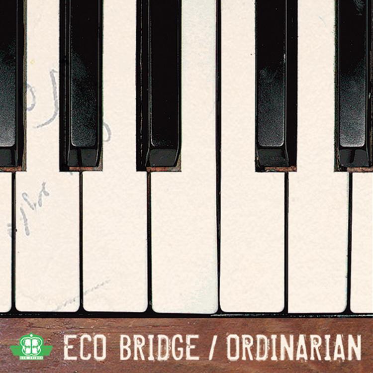 Eco Bridge's avatar image