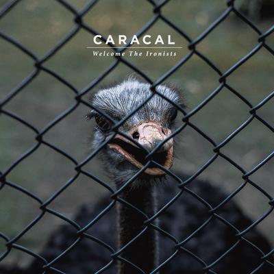 Welcome the Ironists By Caracal's cover