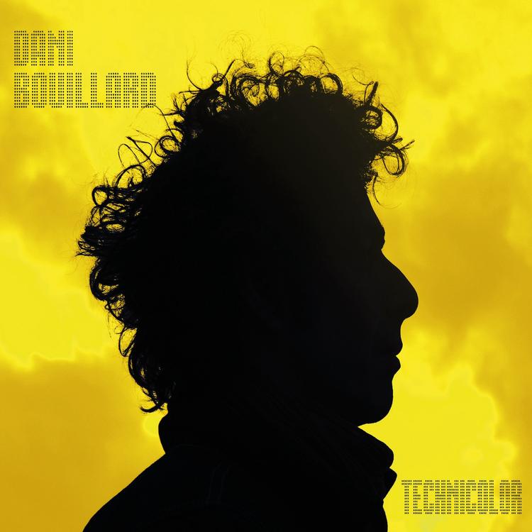 Dani Bouillard's avatar image