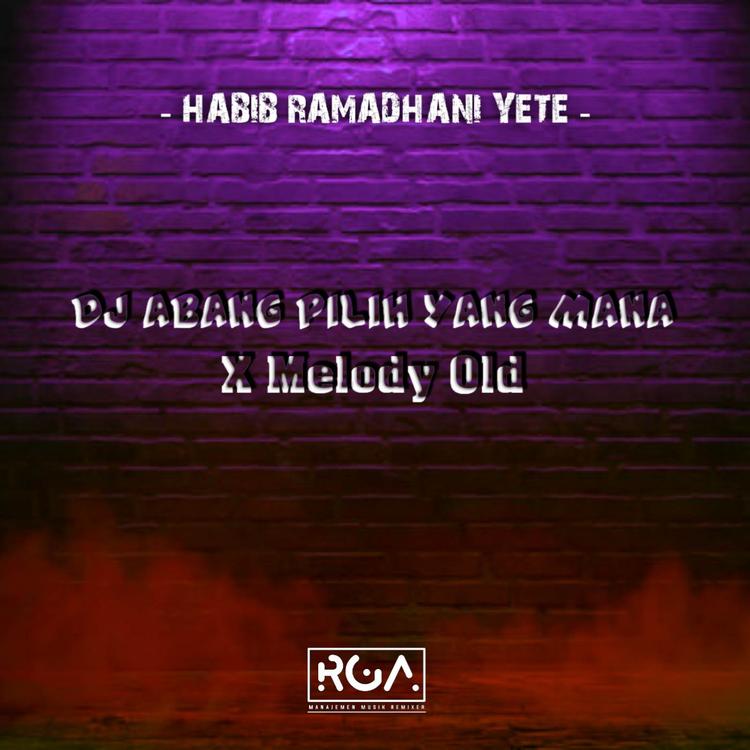 HABIB RAMADHANI YETE's avatar image