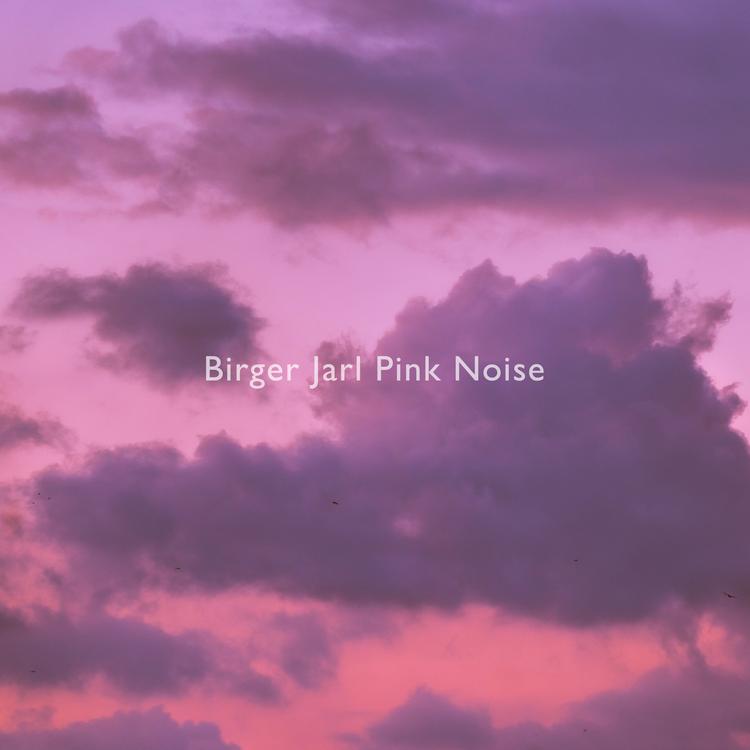 Birger Jarl Pink Noise's avatar image