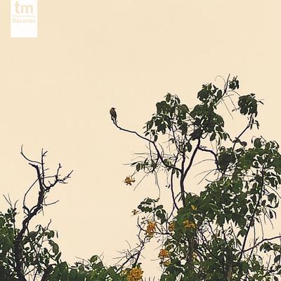 Early Bird By Pelicano, DJ Lagoa's cover