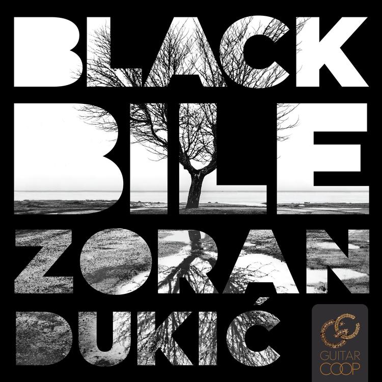 Zoran Dukic's avatar image