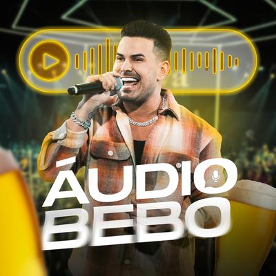Áudio Bebo (Ao Vivo) By Gabriel Gava's cover