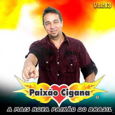 A Mais Nova Paixão do Brasil - Vol: 13's cover