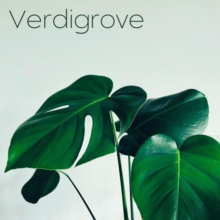 Verdigrove's avatar image