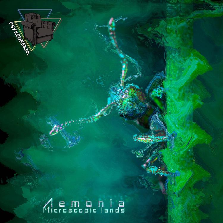 Aemonia's avatar image