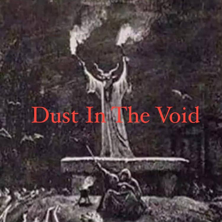 Dust in the Void's avatar image
