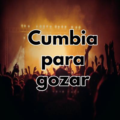 Cumbia para gozar's cover