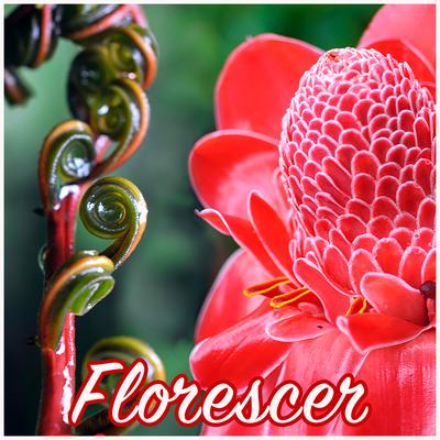 Florescer By Laksmi's cover