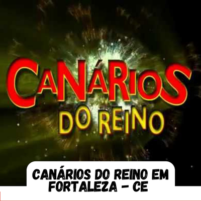 Guitarrinha By Canários do Reino's cover