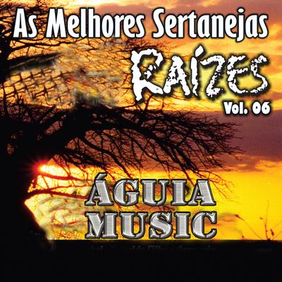 As Melhores Sertanejas Águia Music (Raízes), Vol 6 - (Ao Vivo)'s cover