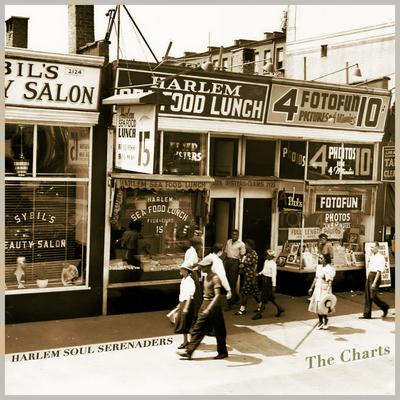 Harlem Soul Serenaders - The Charts' Doo-Wop Delights's cover