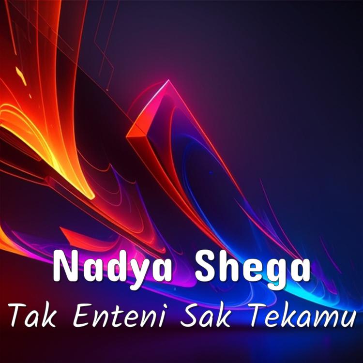 Nadya Shega's avatar image