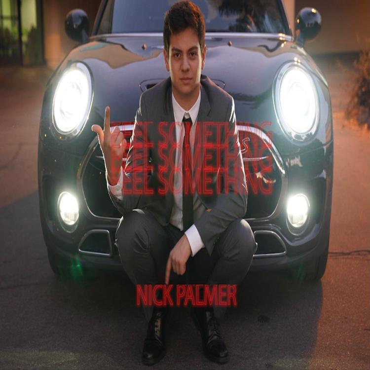 Nick Palmer's avatar image