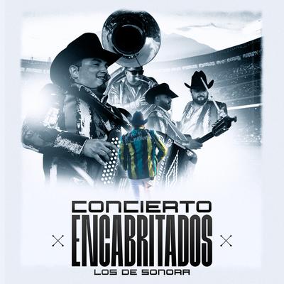 Conciertos Encabritados's cover