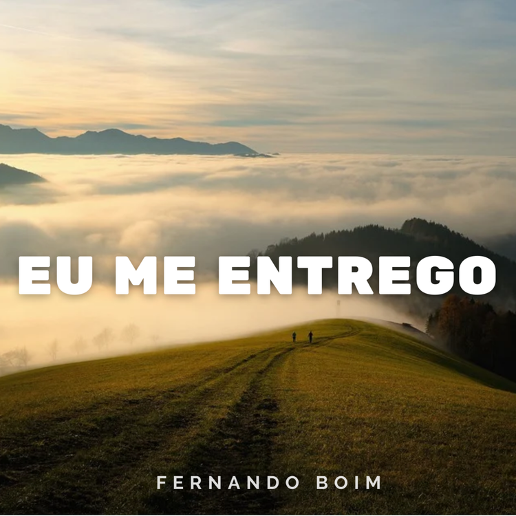 Fernando Boim's avatar image