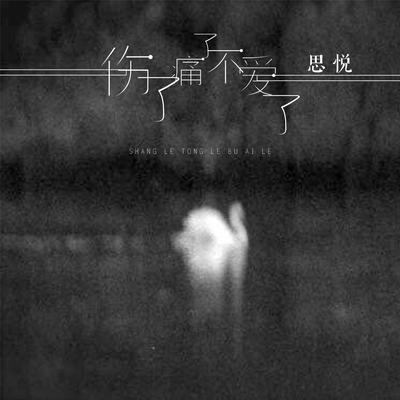 伤了痛了不爱了's cover