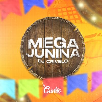 MEGA JUNINA DE BH's cover