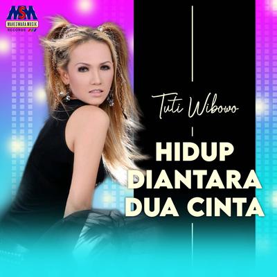 Hidup Diantara Dua Cinta's cover